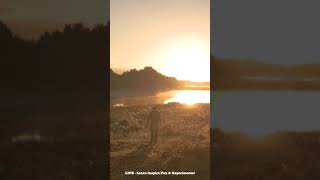 Isolation | Inspiring Vibes | Life  Learn Inspire Fun & Experiments!