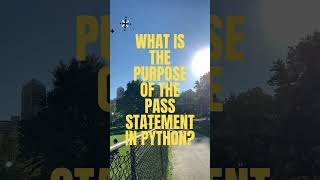 What is the Purpose of the Pass Statement in Python? 🤔 #facts #codingforbeginners #quiz