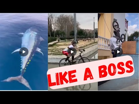 Like a Boss Compilation || Respect Videos #proskills #pro #likeaboss2023