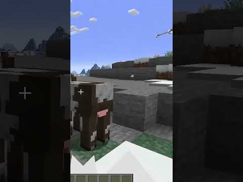 Freezing time with new /tick command. Snapshot for 1.20.3 #minecraft #minecraftshorts