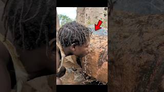 How the Baobab Tree Saves Lives in African Tribes😱🔥