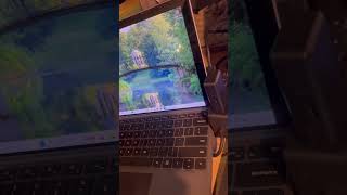 Demo the Bash Bunny with persistence