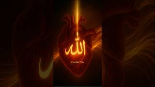🤲#zarooratrishta #jaidmeel #wajifa #kamalwazaif #alizasehar #news #shortsviral #shortsfeed #pharaoh