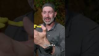 Discover the Stunning Color Change of Green Tree Pythons