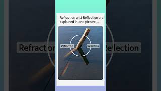 Reflection and refraction are explain in one picture #light