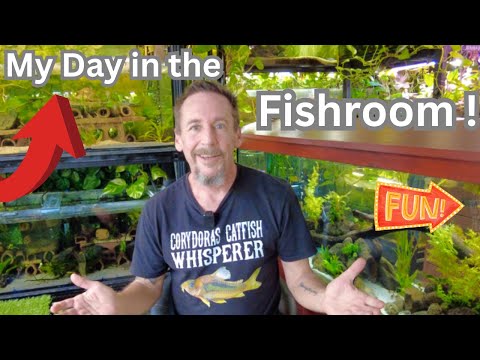 My Day in the Fishroom !