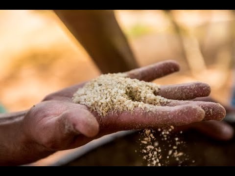 UNDP Signature Solution 1: Keeping people out of poverty