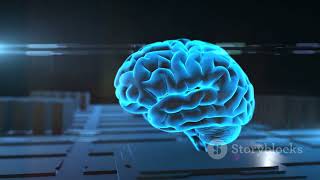 Introduction to Neural Networks and Deep Learning