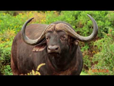 The Garden Route - South Africa's Playground