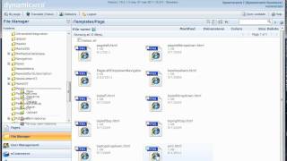 Dynamicweb AJAX shopping cart part 1