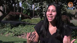 The Quiet Amidst the Buzz