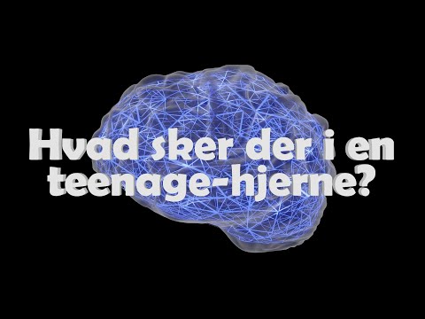 Hvad sker der egentlig i teenagehjernen? Animeret explainer-video