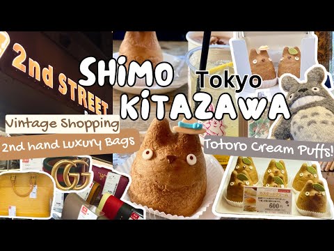 LIVING IN JAPAN 024 | A Day in My Life | Totoro Cream Puffs | 2nd Street | Shimokitazawa