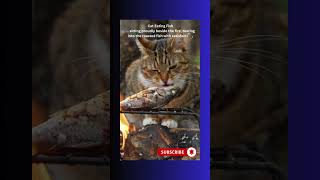 🐾 The Grumpy Cat at the River #mamacat #kitten #ねこ #animation #catvsthief #cartoons