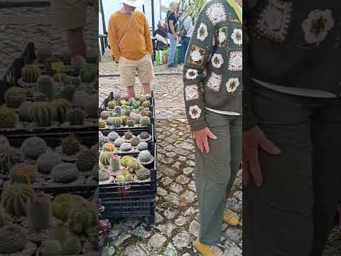 12 abril São Brás de Alportel  #1million #holiday part 1