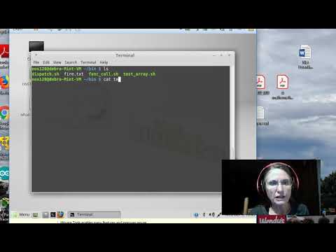 Bash Arrays