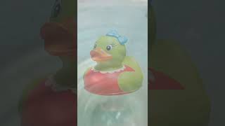 hahahaha #funny #reaction #jokes #comedy #coding #comedyjokes #memes #funnyjokes #duck