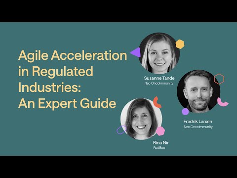 Agile Acceleration in Regulated Industries: An Expert Guide
