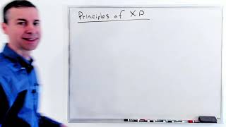 Extreme programming principles