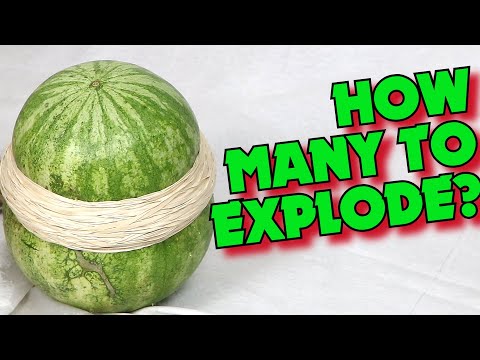 How To Explode a Watermelon With Rubber Bands | How Many Does It Take?