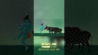 Did you know in the 1960s, someone invented a portable record player    for COWS ?