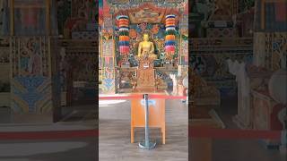 Bhutani buddha temple,rajgir #rajgir  #bihar #bihari #tourism #sorts #shorts #short #shorts #nalanda