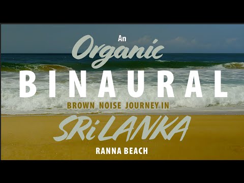 Brown Noise: An Organic Binaural Journey in Ranna Beach, Sri Lanka | 1 HR of Cosmic Sounds