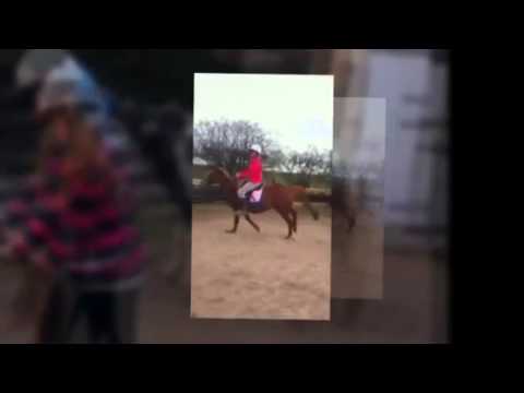 Ellie can really jump !!!