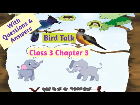 English Class 3  Poem Bird Talk II NCERT II Bird Talk Questions Answers