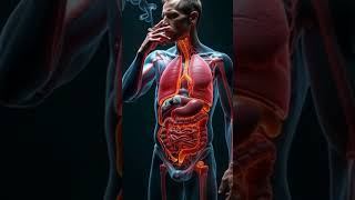 How Cigarette Smoke Destroys Your Lungs | Realistic 3D Visualization