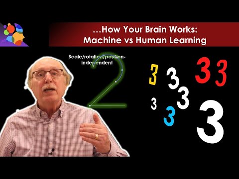 Machine Learning vs Human Learning: They’re Not Alike