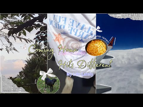 Coming Back Home Hits Different 💼✈🍜| MY LIFE RECENTLY