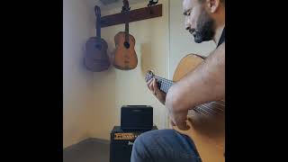 Gitarda "ALZAPUA" Tekniği, Ud tınıları