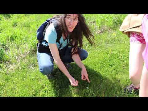 Froggy Fun with Miss Julie