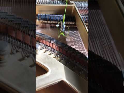 Rehearsing "Wired Imagination" (2018)