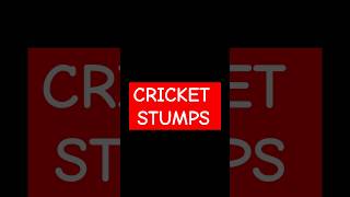 Revolutionary Cricket Stumps Technology | cricket | Technology | #cricket #shorts