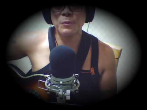 We May Never Pass This Way Again ( Cover )