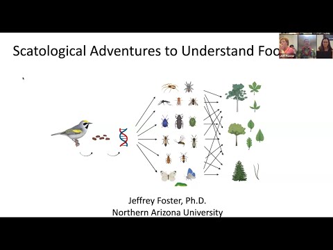 Scatological Adventures to Understand Food Webs