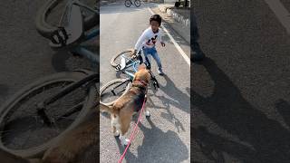 Leo’s oops moment😯#trending #youtubeshorts #shorts #youtubeshorts