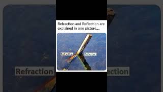 Refraction and Reflection in one frame #shorts #viral #science #shortsfeed