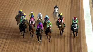 Imagination (Into Mischief) - Riyadh Dirt Sprint Stakes G2 2026