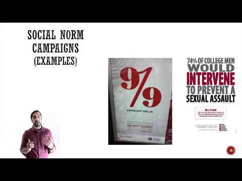 Surveying Attitudes and Attitude (in)Accessibility (2/4)