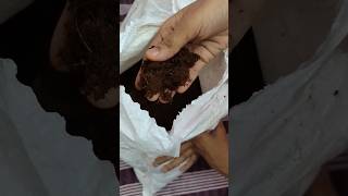 #viralunboxing #thoothukudi #gardening #gardan #cocopeat #original #trendingshorts #trebdingvideo