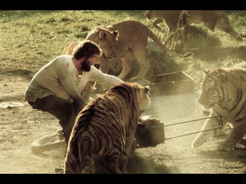 Roar: A Movie Made with 150 Untrained Lions and Tigers