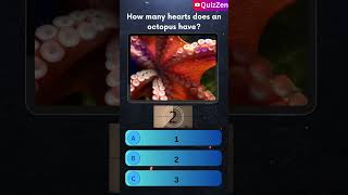 💙 How Many Hearts Does an Octopus Have? | Ocean Quiz | QuizZen #quiz #oceanquiz #animalquiz #gkquiz