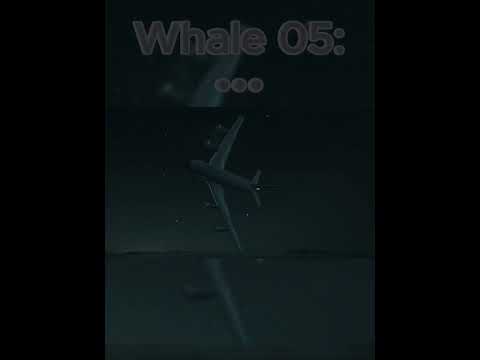 The Best Emergency Landing... I Whale 05 #planecrashes #unbelievable #viral #fyp #reccomended  #usaf