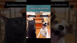 coding memes,Anyone can relate ,devoloper memes #bug #codinglife #codingbasics #funnyvideo