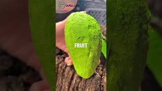 Which Fruits Are Really the Best for Your Health? Find Out the Surprising Truth
