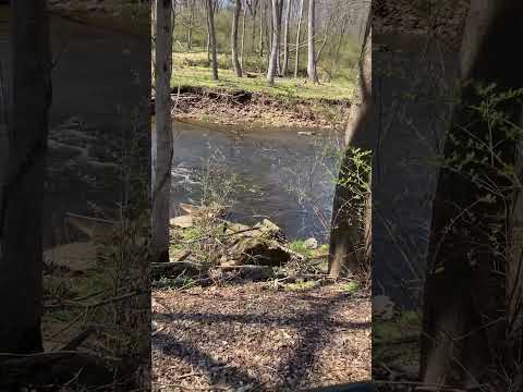 Throwing a rock into a creek