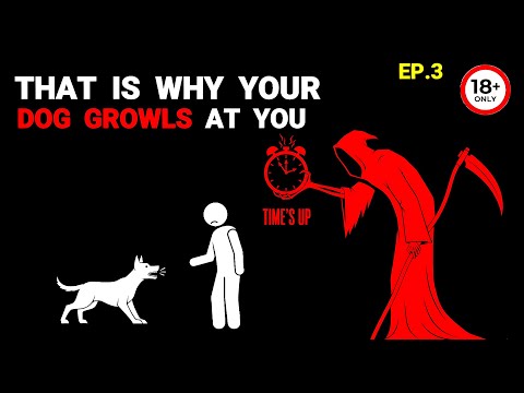 If Your Dog Growls at You… You're Going to Die Soon ـ Analog Horror